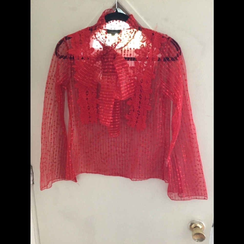 Long sleeves sheer blouse with lace details